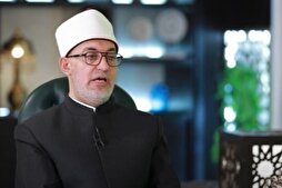 مفتي مصر: 