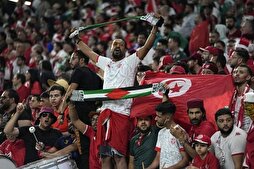 Tunisia Fans Support Palestine during 2022 World Cup Match