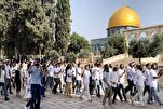 Israeli Settlers Raid al-Aqsa 26 Times, Bar Call to Prayer at Ibrahimi Mosque 92 Times in September
