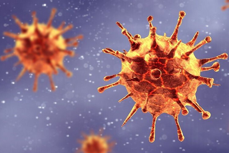 بستری 267 بیمار در بخش‌های کرونایی در بیمارستان‌های استان/ ثبت 2 فوتی جدید/ ارسالی شنبه