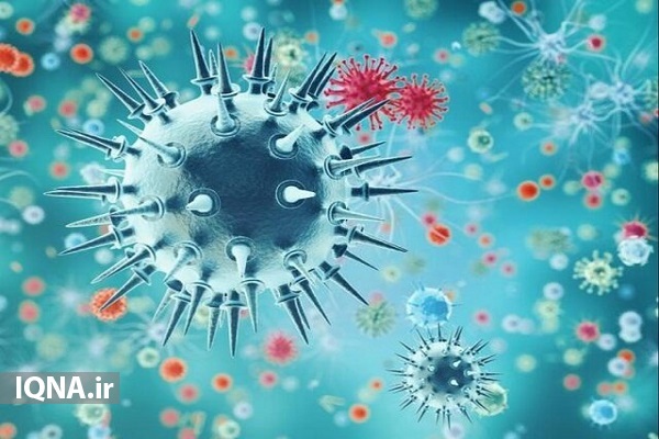 بستری 332 بیمار در بخشهای کرونایی در بیمارستانهای استان/ ثبت 6 فوتی جدید/ ارسالی پنجشنبه