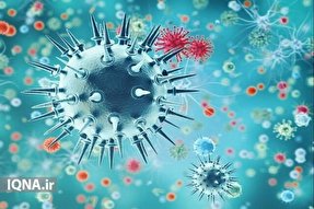 332 بیمار کرونایی بستری/ ثبت 6 فوتی جدید