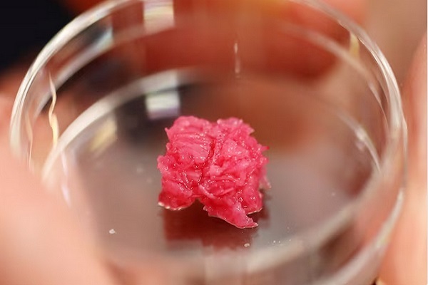 شرط مفتی سنگاپور برای جواز مصرف گوشت‌های آزمایشگاهی