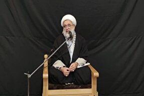 انقلاب اسلامی، قرآن و سیره اهل بیت(ع) را در جهان شکوفا کرد