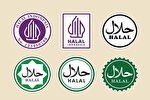 راه‌اندازی سامانه ثبت گواهی حلال در اندونزی