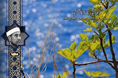 فیلم | فراز تلاوت «راغب مصطفی غلوش» از سوره علق