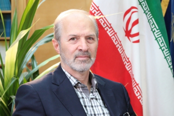 نان؛ از خطرات حذف کامل تا اجرای طرحی ملی