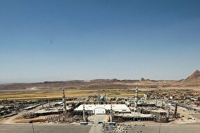 استوری‌موشن | روی علی(ع)