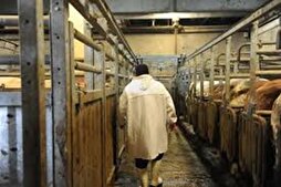 L’OABA saisit la justice contre l’État pour manque de transparence sur l’abattage rituel