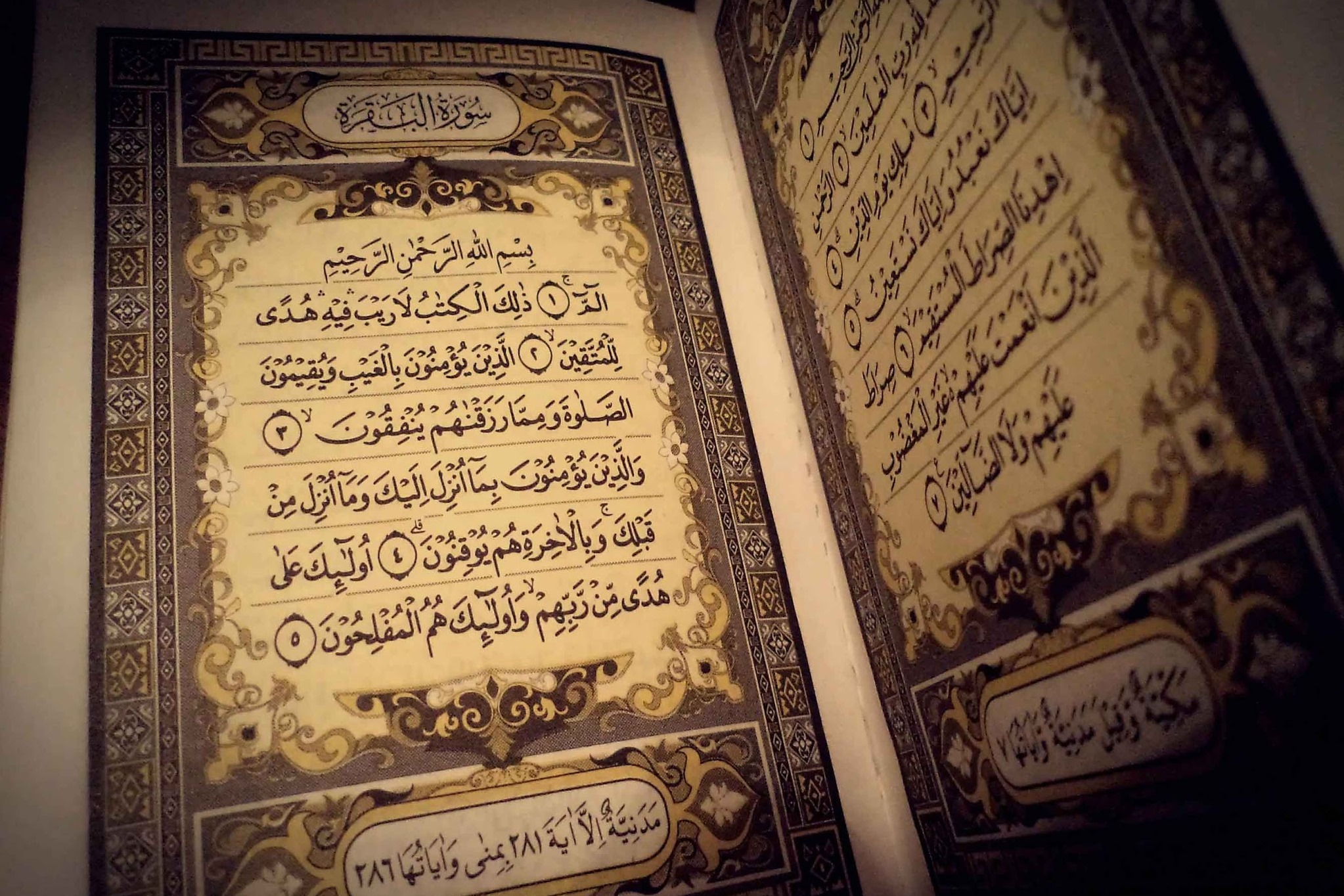 La Luce del Corano-Esegesi del Sacro Corano,vol 1 - Parte 75 - Sura Al-Bagharah - versetto 165