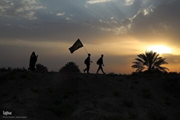 Fotos: Caminhada de Arbaeen 2025 para Karbala via Tariq al-Ulama