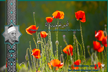 Небесные чтения: Сура Аль-Имран голосом Шахата Мухаммада Анвара