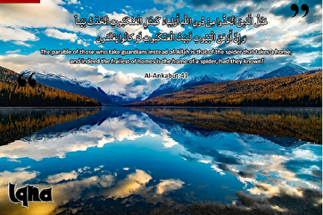 Аяты для жизни: как паутина