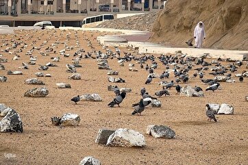Кладбище Абу Талиб в Мекке