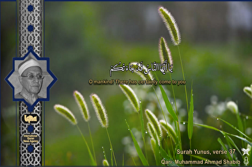 Красивое чтение Корана голосом «Ахмада Шабиба» из суры Юнус