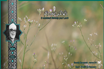 Небесные чтения: Аль-Хусари читает стих из суры Бакара