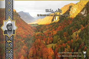 Видео/красивое чтение «Махмуд Шахат» из суры Шамс