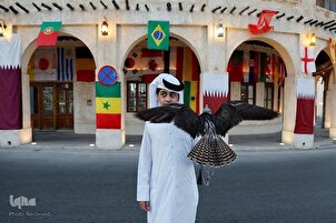 ورلڈکپ 2022 قطر؛ پہلے مسلمان ملک میں منعقدہ مقابلے کی جھلکیاں