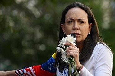谴责向反伊斯兰政客颁发诺贝尔和平奖